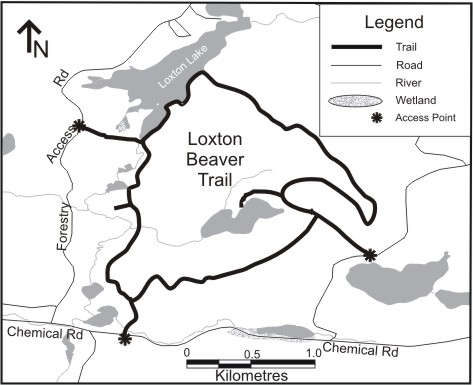 drawn map of Loxton Lake Beaver Trail, part of Forgotten Trails